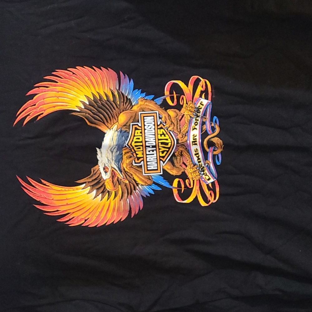 Harley Davidson t-shirt